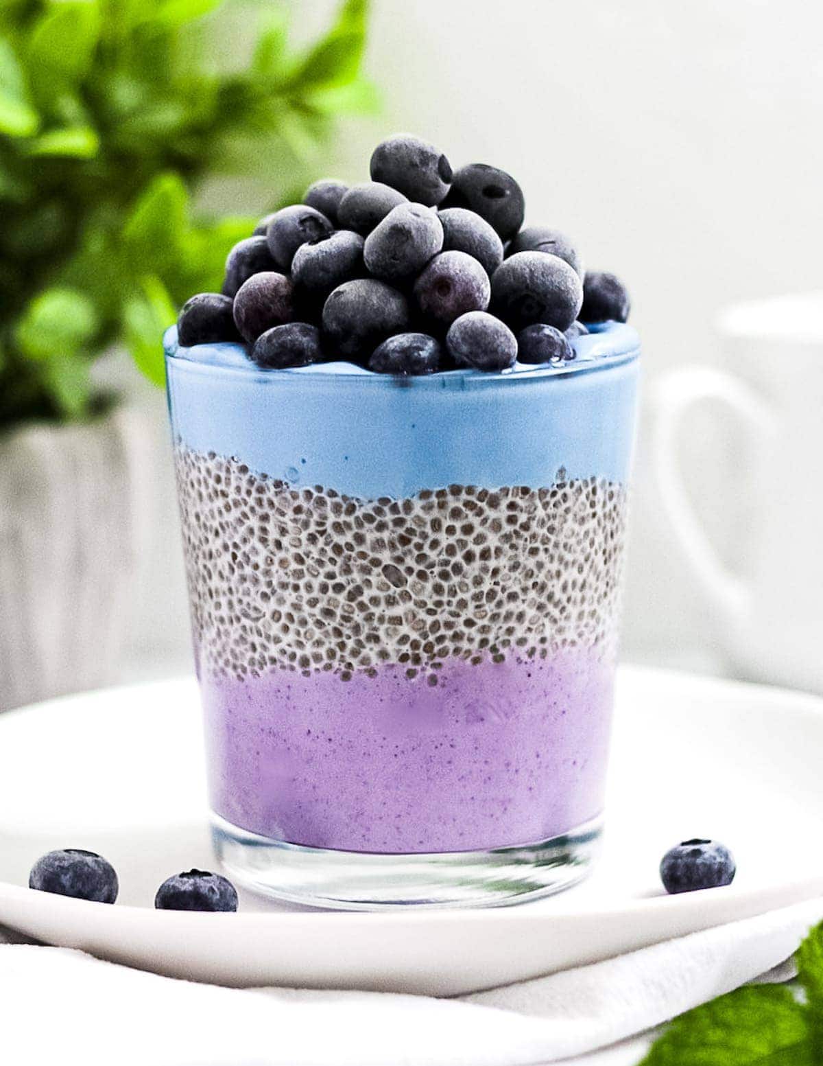 Parfait with plant-based yogurt, chia pudding, and blueberries in a clear glass.
