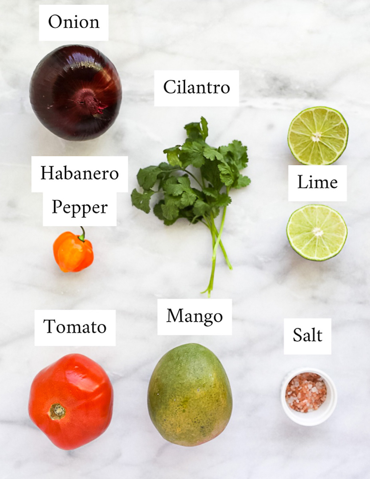 Labeled ingredients including: onion, cilantro, lime, habanero pepper, tomato, mango, and salt.