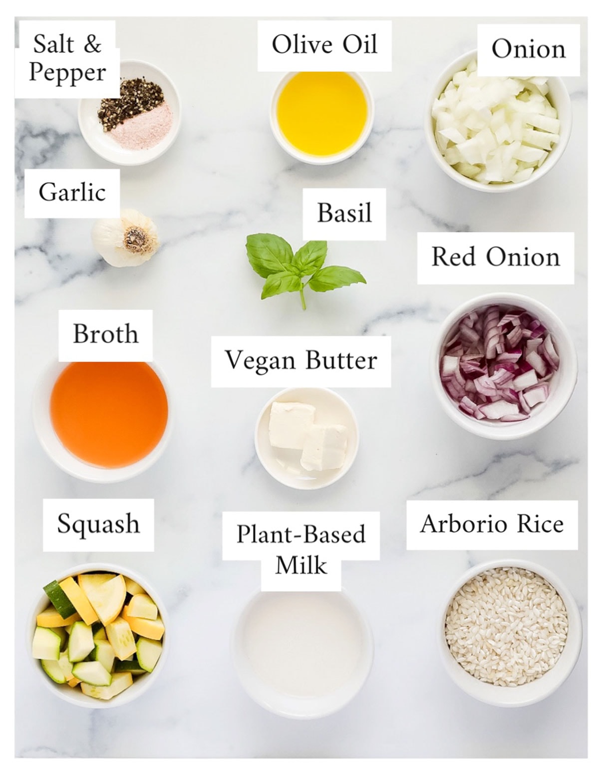 Labeled ingredients including: salt & pepper, olive oil, onion, garlic, basil, red onion, broth, vegan butter, red onion, squash, plant-based milk, arborio rice