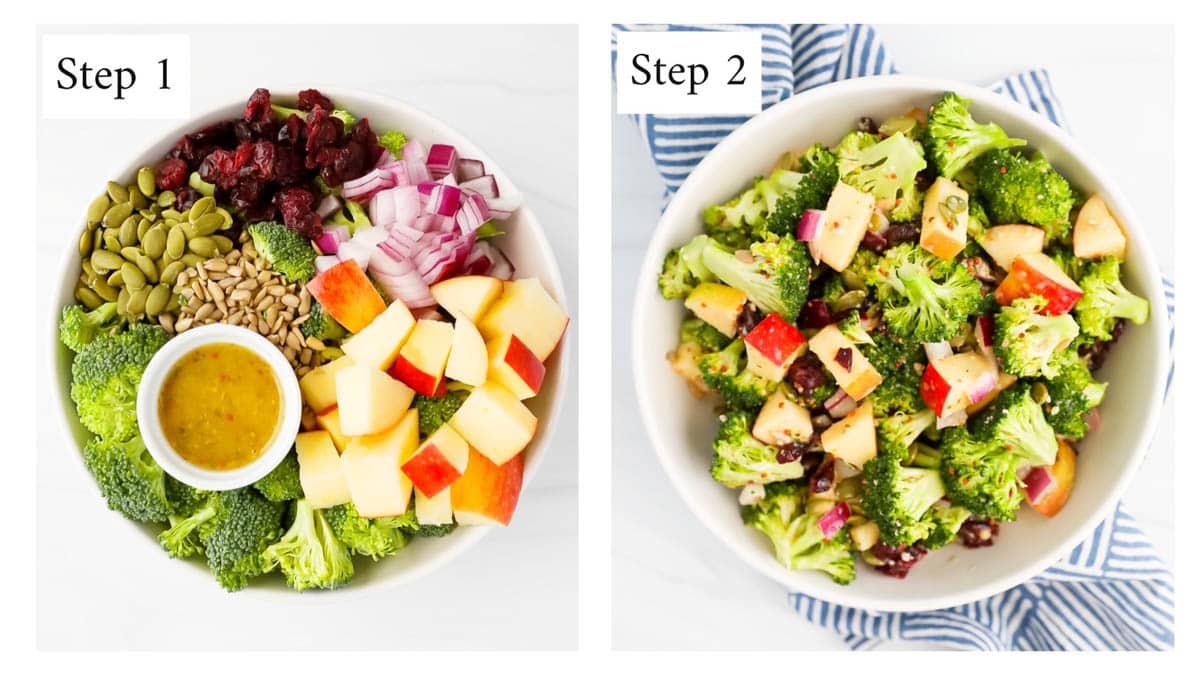Two side by side images labeled step 1 and step 2. Step 1: apples, red onion, cranberries, seeds, broccoli, and dressing in a bowl separated by ingredient. Step 2: all of the ingredients from bowl one are in the same bowl but mixed together.