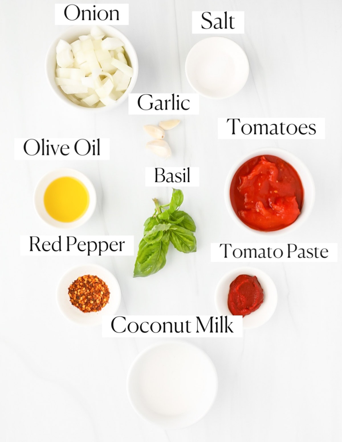 Labeled ingredients in small white bowls including: onion, salt, garlic, olive oil, tomatoes, basil, red pepper, tomato paste, and coconut milk.